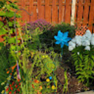 Meet your Posher, Dot